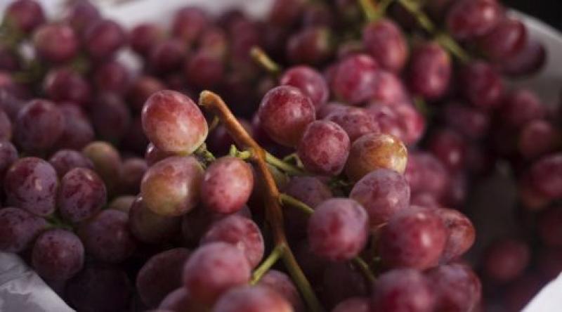 DETECTAN RESIDUOS DE INSECTICIDAS EN UVAS PERUANAS