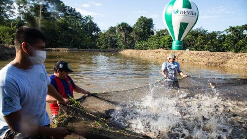 Devida atendió a 6.012 familias a través del Programa de Desarrollo Alternativo