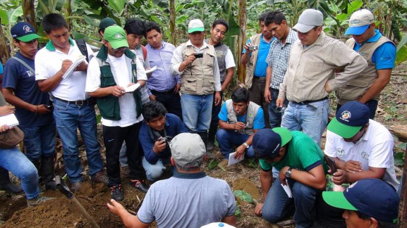 Devida capacitó a cacaoteros en análisis de suelos y abonamiento