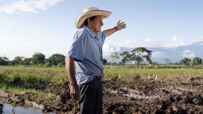 Día Mundial de la Agricultura: tendencias y prácticas para impulsarla