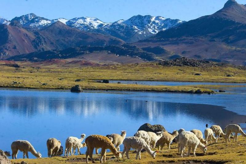 DIRIGENTES DE HUANCAVELICA RECLAMAN DERECHOS POR USO DE AGUA DE LAGUNAS