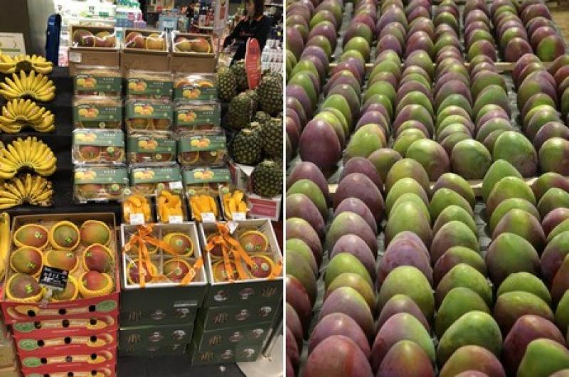 Dole y Camposol llevan los \"Peruvian Flame Mangoes\" a China