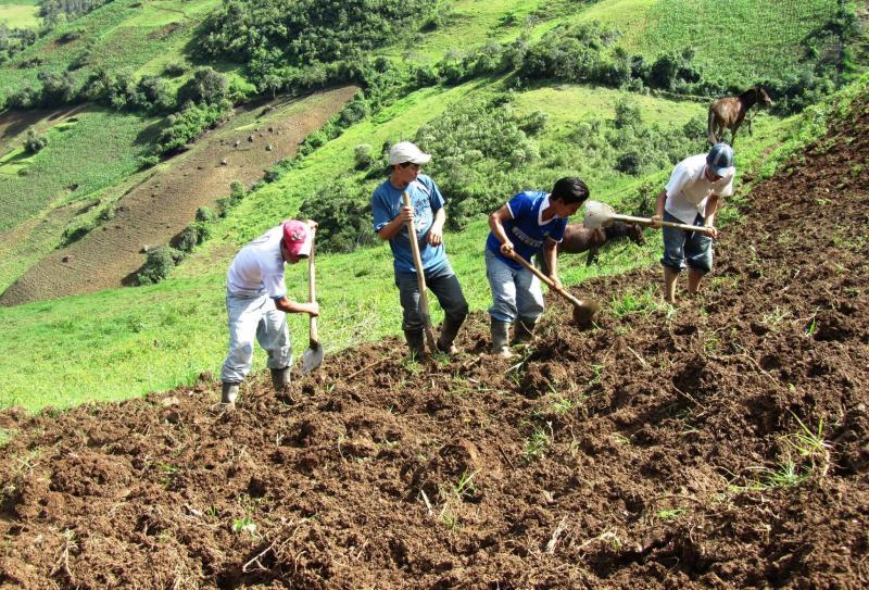 DRA CAJAMARCA LICITA ADQUISICIÓN DE HERRAMIENTAS POR S/. 1.269.916,00