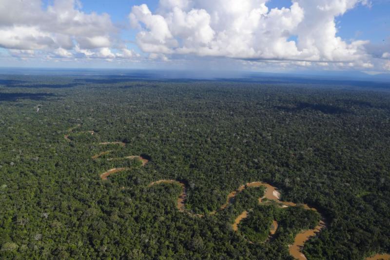 Ecosistemas terrestres y marinos absorben el 54 % del CO2 y están en peligro