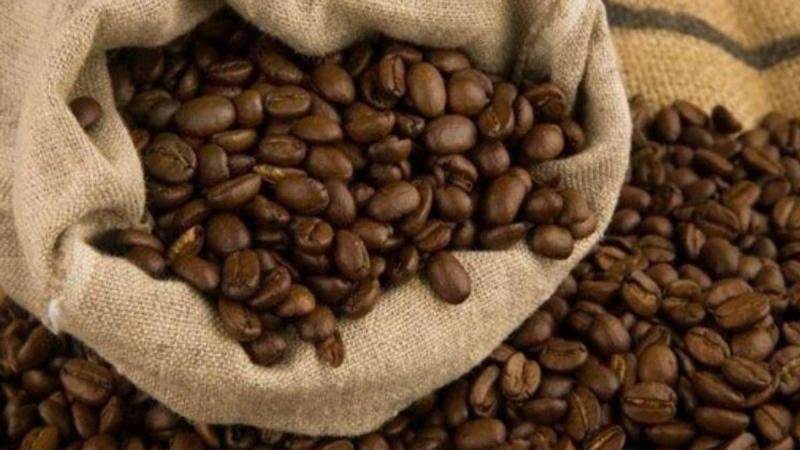 Ecuador exportó por primera vez café arábiga sostenible a Canadá