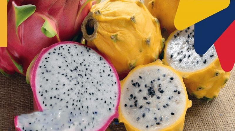Ecuador reclama por cierre del mercado peruano a sus despachos de pitahaya