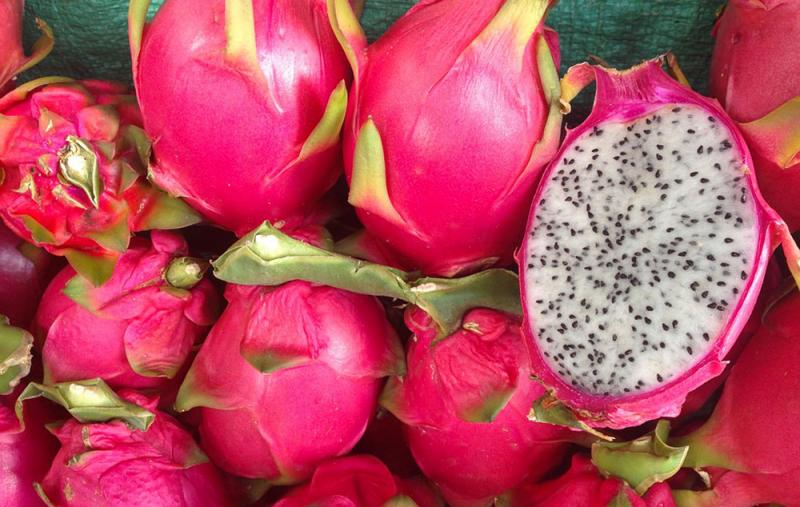 Ecuador ya exporta pitahaya roja a Estados Unidos