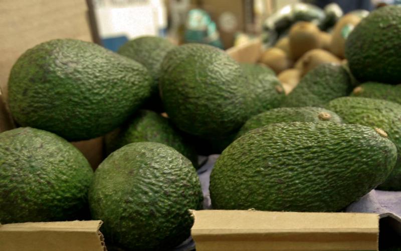 EE.UU.: se espera que el mercado de aguacate se reduzca en las próximas semanas