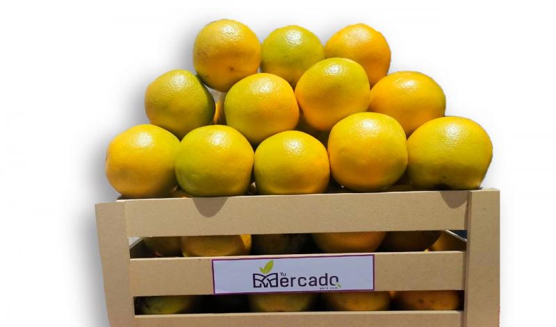 El 100% de los despachos peruanos de naranja se dirigen a República Dominicana