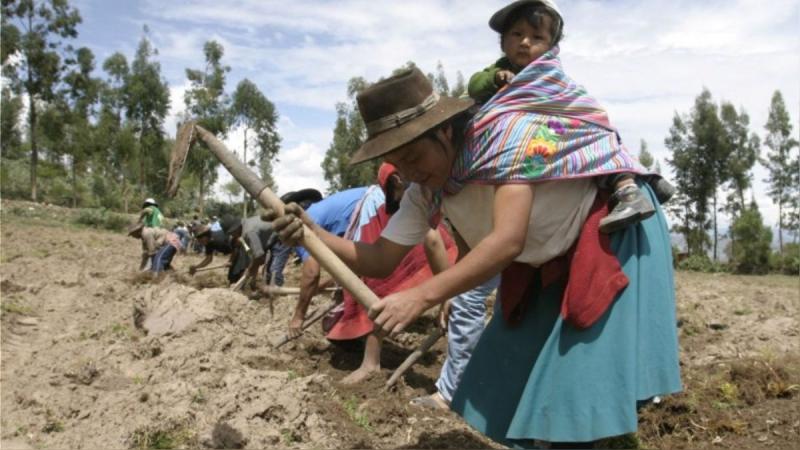 El agro en situación complicada: ¿caminamos al futuro o nos quedamos sin él?