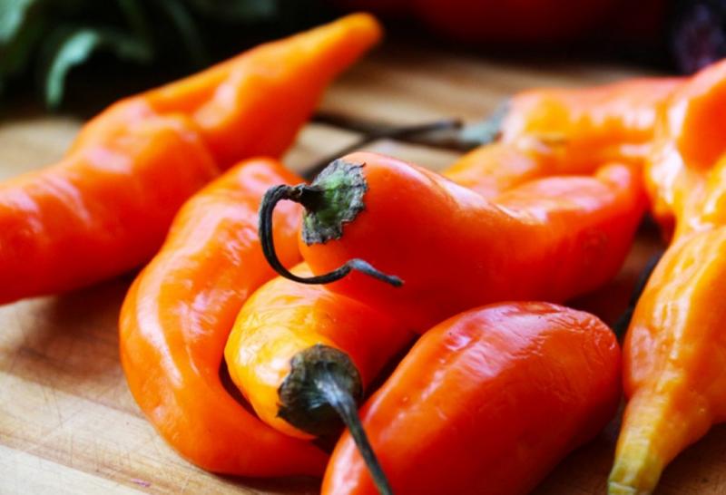 El ají escabeche peruano tiene gran potencial comercial para el mercado interno y exterior