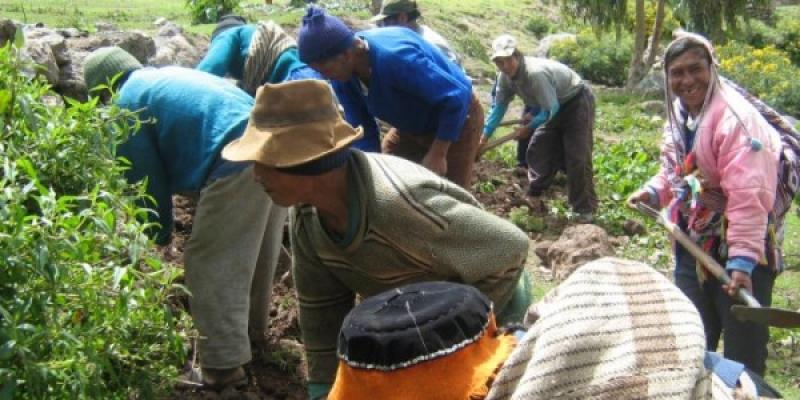 EL CAMBIO CLIMÁTICO EXIGE QUE LA AGRICULTURA SEA EJERCIDA POR PROFESIONALES AGRARIOS