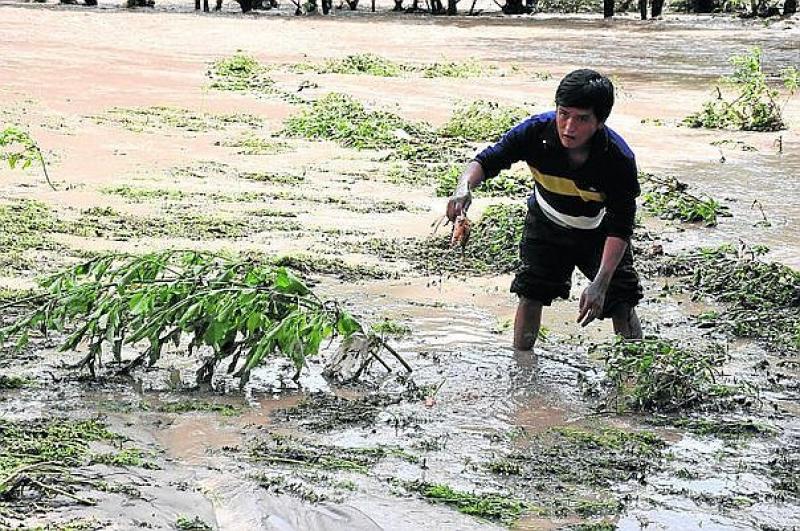 El clima tiene ‘en jaque’ a la producción agraria mundial