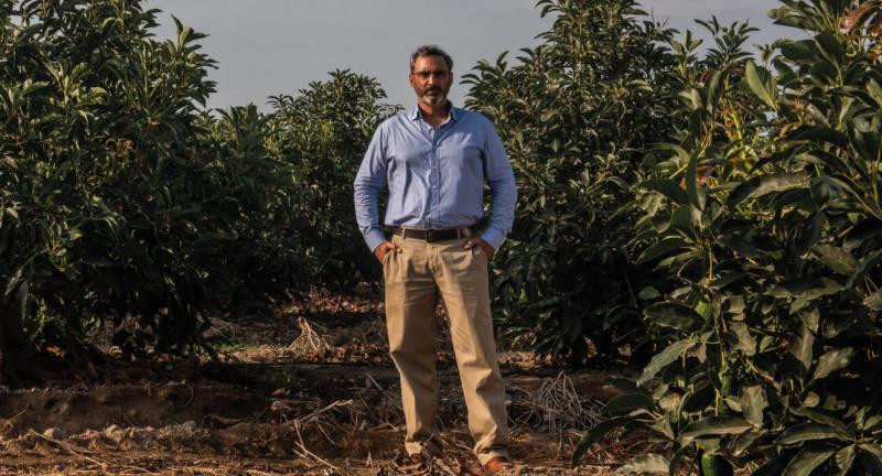 El Estado y los gremios agricultores deben estudiar la demanda por producto para evitar crisis como la del mango