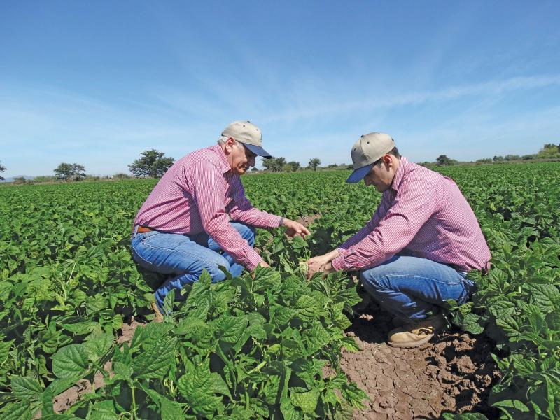 EL INGENIERO AGRÓNOMO COMO GENERADOR DE CAMBIOS