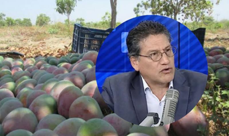 El mango peruano: importante motor del desarrollo agroexportador