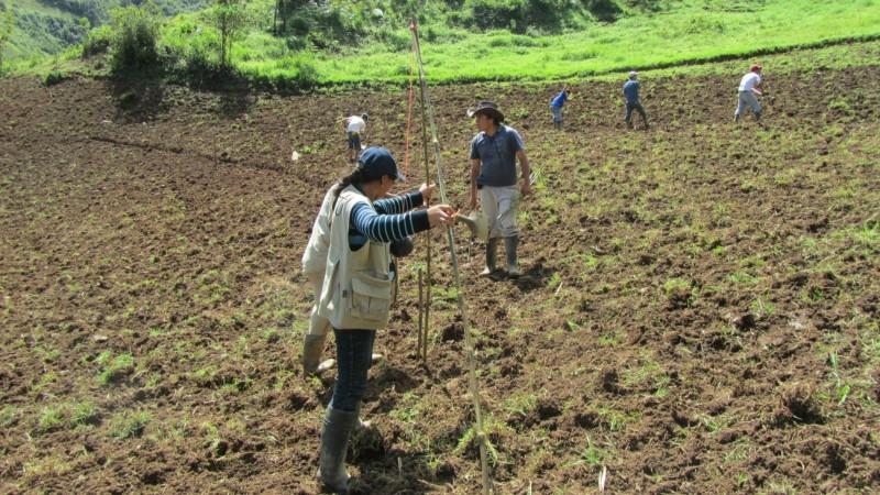 El Niño Global 2026 y sus impactos diferenciados en la agricultura peruana