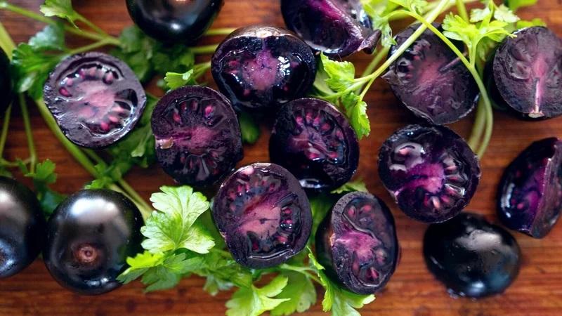 El nuevo tomate transgénico morado más saludable es un éxito de venta en Estados Unidos