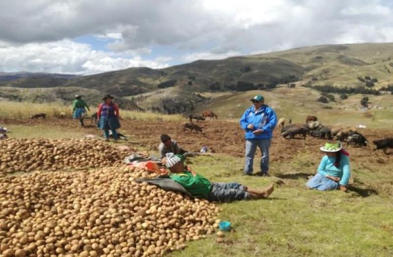 Eligen al distrito de Acoria como modelo nacional para el empadronamiento de productores agropecuarios