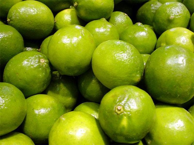 Empieza tendencia a la baja en el precio del limón gracias a mayor producción