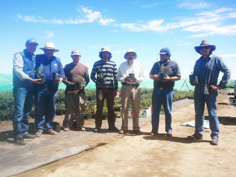 EMPRESA AREQUIPEÑA DONA MIL PLANTONES DE ARÁNDANOS AL CUSCO