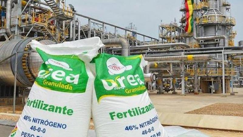 Empresa paraguaya Direcagro proveerá de urea más cara y llegaría la primera semana de diciembre