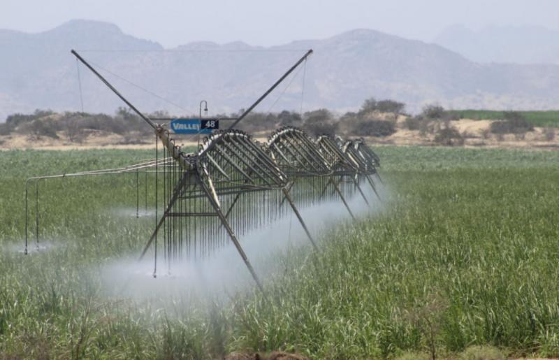 Empresas agroindustriales invirtieron más de US$ 750 millones en Olmos