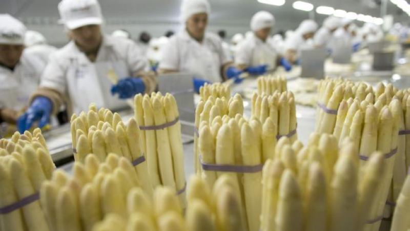 EMPRESAS DE ALIMENTOS CHINAS SE INTERESAN POR EL ESPÁRRAGO PERUANO