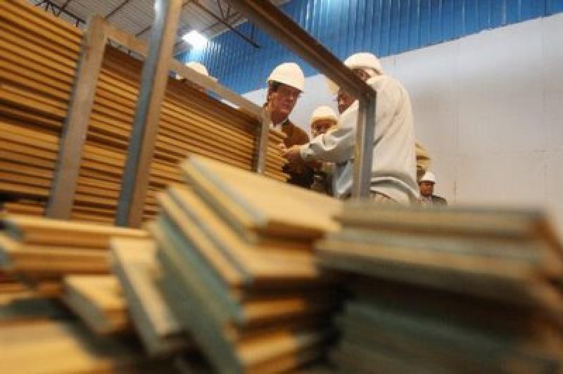 EN 2020 EL PERÚ IMPORTARÁ US$ 2000 MILLONES DE MADERA POR NO HABER REFORESTADO