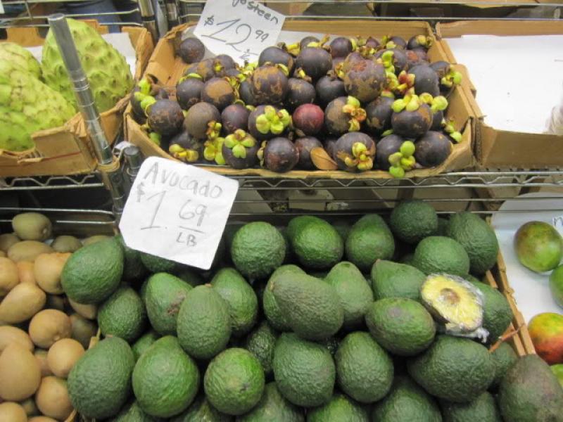 En Holanda prefieren aguacates chilenos y dejan de lado los colombianos por no ser suficientemente buenos