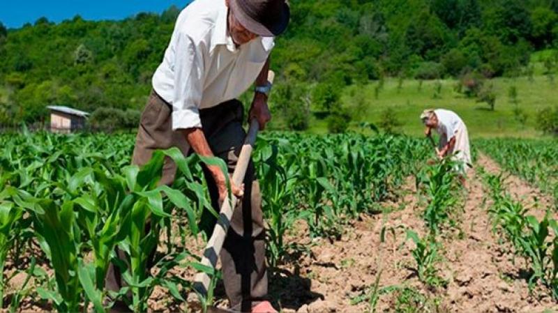 ¡En lo que está acabando la Segunda Reforma Agraria!