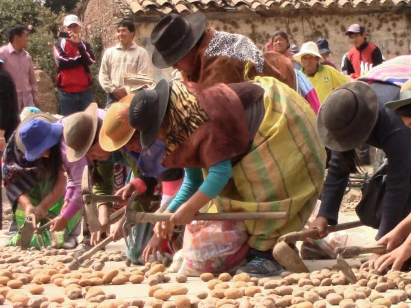 EN MARZO OFICIALIZARÁN ESTRATEGIA NACIONAL PARA LA AGRICULTURA FAMILIAR