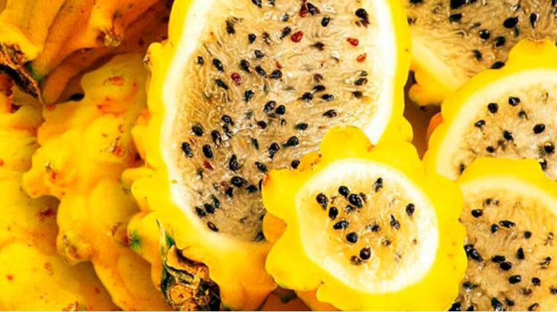 En tres o cuatro años Perú exportaría pitahaya hasta por US$ 15 millones