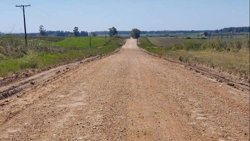 Entorno e inversiones privadas en la agricultura peruana