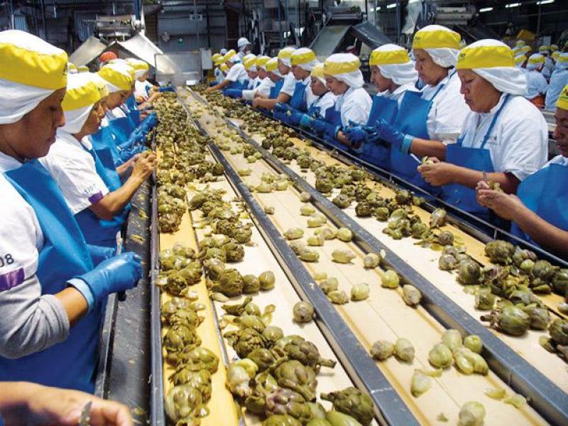 Entre los años 2000 a 2017 recaudación por tributos en el sector agrario trepó de S/ 73 millones a S/ 539 millones