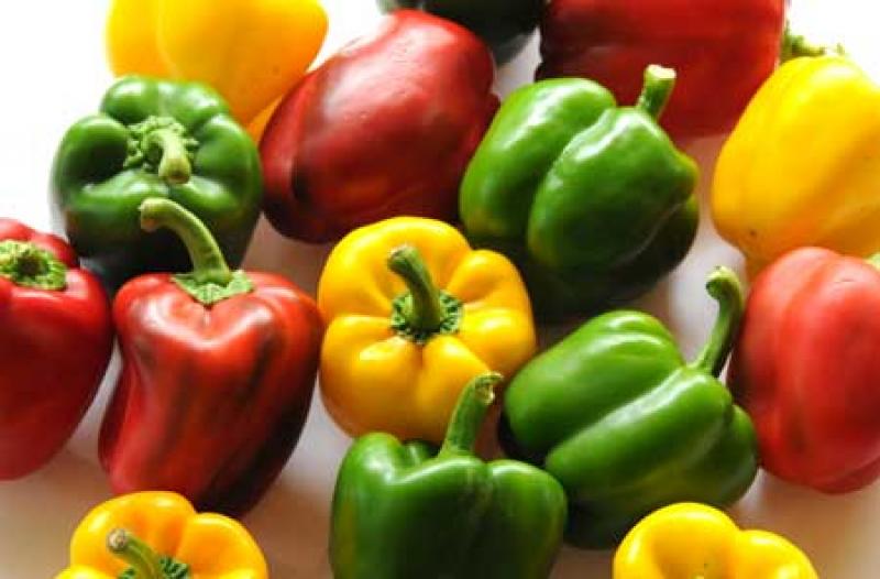 ENVÍOS DE CAPSICUM CRECEN EN VALOR 16% EN EL PRIMER CUATRIMESTRE DEL AÑO