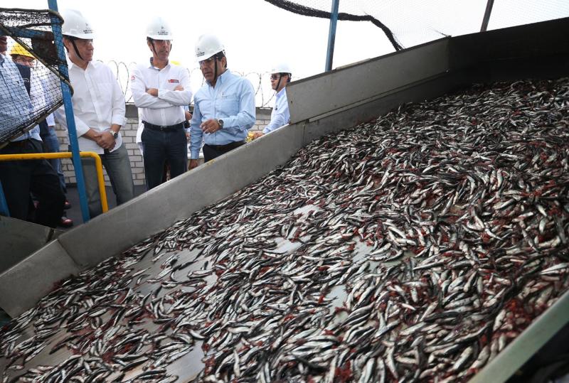 Envíos de harina y aceite de pescado superarían los US$ 2,000 millones en 2022