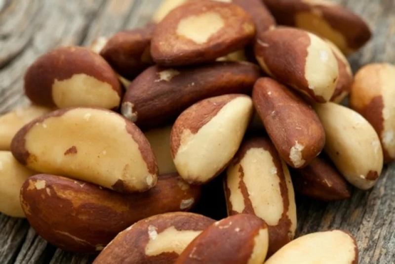 Envíos de nueces de Brasil ascendieron a 2.304 toneladas por US$ 18 millones entre enero y junio del 2022