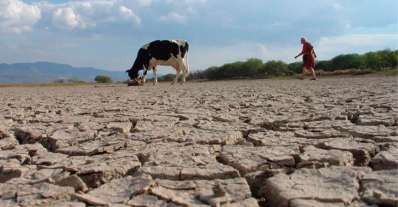 Es esencial revertir la degradación de los suelos para garantizar la seguridad alimentaria