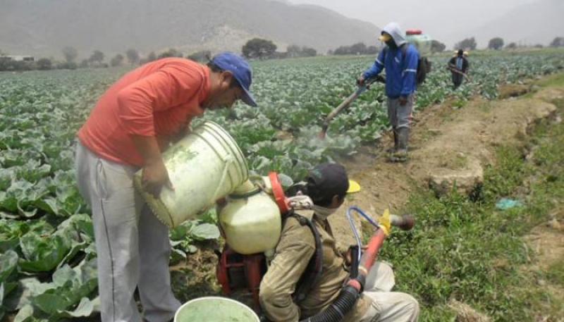 “Es necesaria una acción política de regulación estricta del comercio y uso de agroquímicos en el campo”