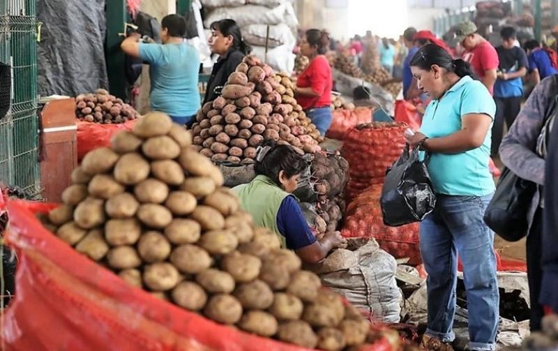 Escenario de sobreproducción de papa va camino a repetirse, según gremios