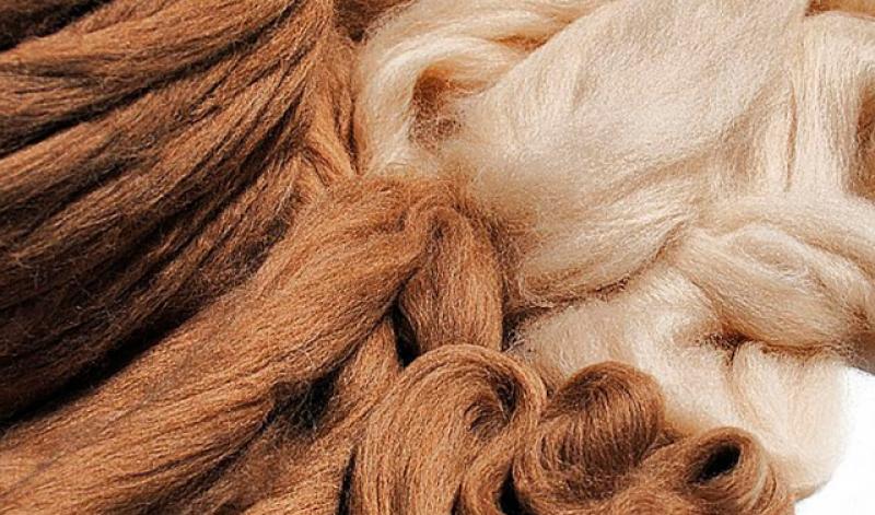 ESCUELA DE ALTO DISEÑO DE BÉLGICA PRESENTÓ COLECCIONES EN BASE A FIBRA DE ALPACA Y ALGODÓN PIMA