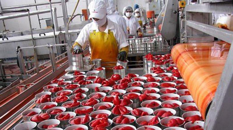 España, principal destino del pimiento piquillo preparado o conservado sin congelar