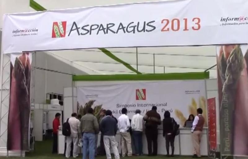 ESPÁRRAGO: ADVIERTEN LA NECESIDAD DE DESARROLLAR SEMILLEROS PROPIOS 