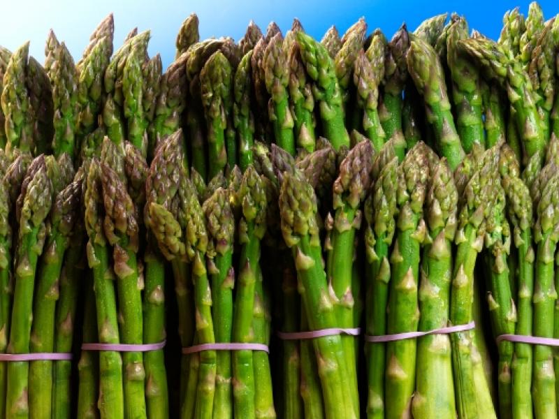 ESPÁRRAGO LIDERA RANKING DE AGROEXPORTACIONES NO TRADICIONALES