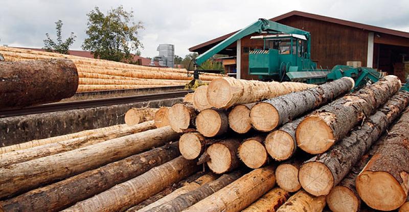 Especialistas y empresarios del sector forestal discuten mecanismos transparentes para garantizar origen legal de la madera