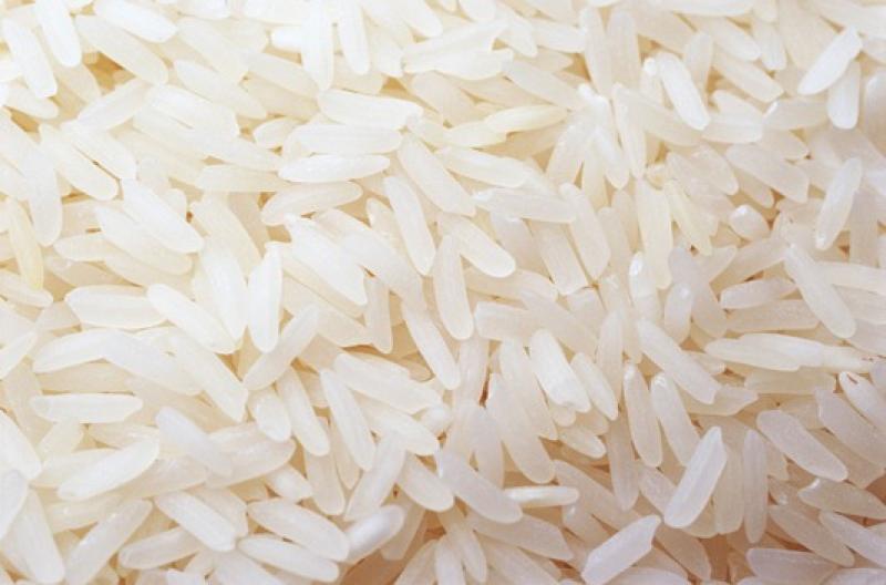 ESTABLECEN REQUISITOS FITOSANITARIOS PARA LA IMPORTACIÓN DE ARROZ PILADO PARAGUAYO