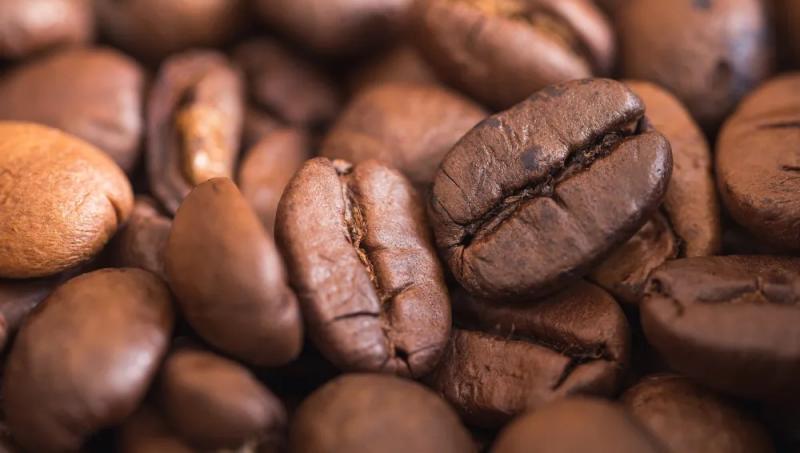 Estados Unidos fue el principal destino del café en grano exportado por Perú en abril de 2025