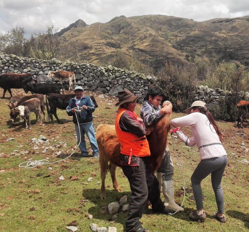 Estudiantes de universidades de Lima conocen la experiencia de Formagro en Áncash