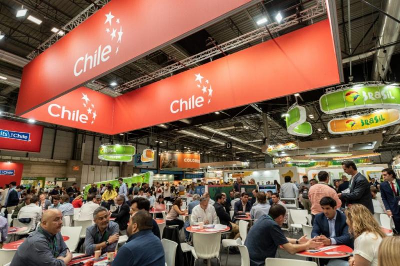 Europa baja a cuarto lugar en exportaciones de frutas de Chile